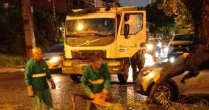 Diario HOY | Raudales y árboles caídos en Asunción en un nueva jornada de lluvias
