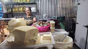 Llega la Semana Santa y la vaca se hace la “hepy”