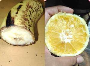 Ybycuí: Denuncian postres incompletos en el programa “Hambre Cero” - Nacionales - ABC Color