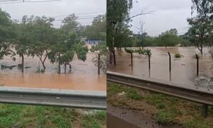 Parques Ñu Guasu y Guasu Metropolitano, cerrados hasta nuevo aviso - trece