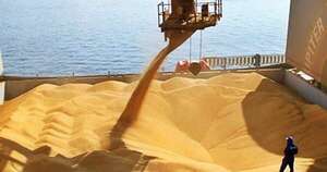 La Nación / Complejo soja cierra el primer bimestre con ingresos por USD 784 millones