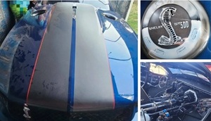 Incautan Mustang oculto en camión en Itapúa