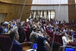 Reforma de la Caja Fiscal: se inicia sesión extraordinaria en Cámara de Diputados - A La Gran 7-30 - ABC Color
