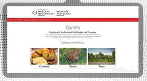 Presentarán el primer Diccionario Audiovisual Multilingüe del Paraguay