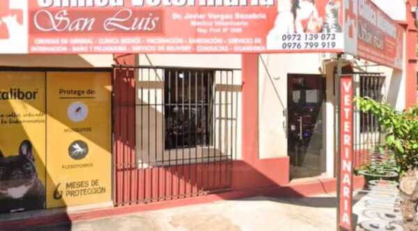 Popular / Denuncian supuesta negligencia en clínica veterinaria por muerte de jagua'i