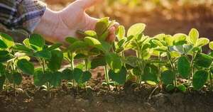 Tensiones en Oriente Medio ya encarecen el agro y presionan los alimentos