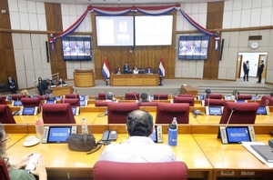 Diputados sancionan reforma de la Caja Fiscal en la versión del Senado - trece