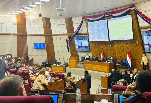 Diputados sancionan reforma de la Caja Fiscal en versión flexibilizada del Senado