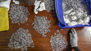 Dos hombres en Kenia se enfrentan a 7 años de prisión por tráfico de hormigas a China