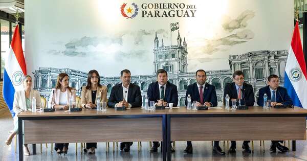 La Nación / Carne vacuna llegará a ferias de Agricultura Familiar con precios de hasta 25 % más bajos