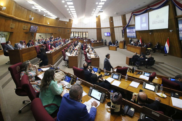 Diputados sancionan la reforma de la Caja Fiscal con modificaciones del Senado - El Trueno