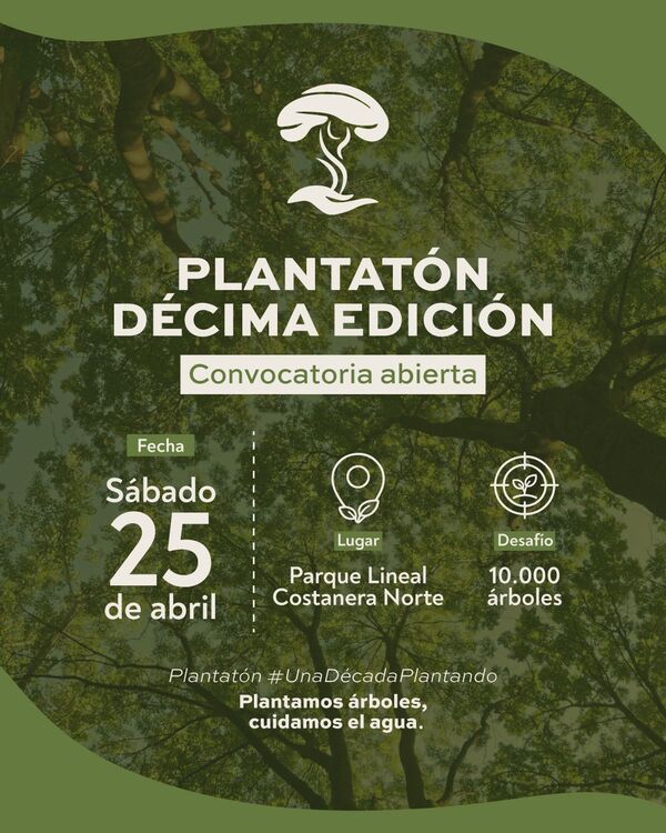 Plantatón abre su décima edición con el desafío de plantar 10.000 árboles en la Costanera Norte - El Trueno
