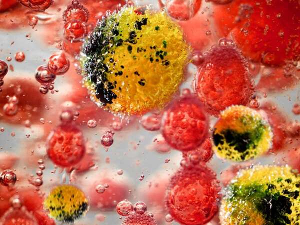 Inglaterra, en alerta por meningitis: dos jóvenes fallecidos en un brote inusual - Ciencia - ABC Color