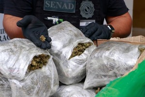 Interceptan carga de marihuana destinada al microtráfico en Asunción