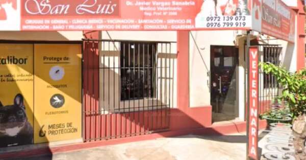 Diario HOY | Veterinaria denunciada por negligencia ofrece su derecho a réplica