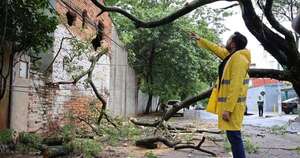Diario HOY | Intendente de Asunción “agarra” la motosierra para despejar árboles caídos