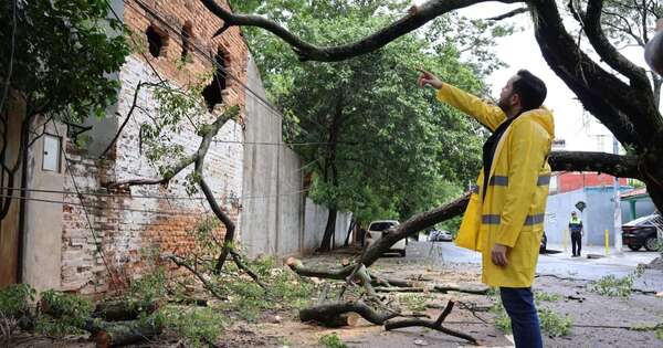 Diario HOY | Intendente de Asunción “agarra” la motosierra para despejar árboles caídos