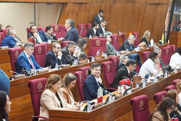Cartistas y aliados rechazan interpelación del titular y gerente de salud del IPS - Política - ABC Color