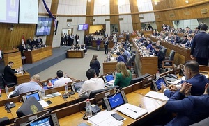 Diputados sanciona Ley de Reforma de la Caja Fiscal con texto del Senado
