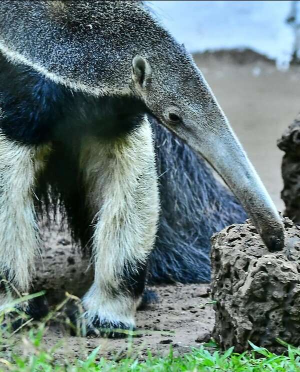 Semana Santa: Ayolas ofrece naturaleza, historia y energía en un solo destino - Nacionales - ABC Color