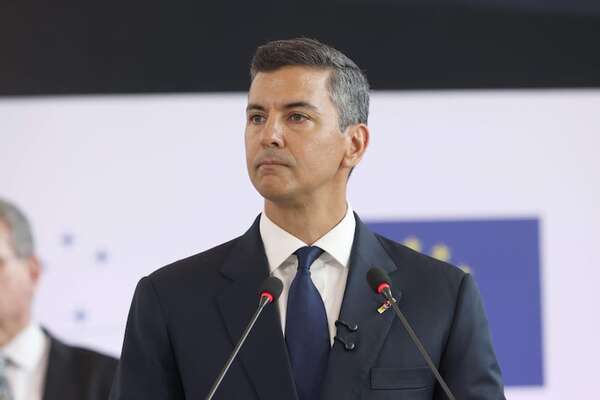 “Carne más barata”: anuncio de Peña desata críticas por falta de soluciones estructurales - Política - ABC Color