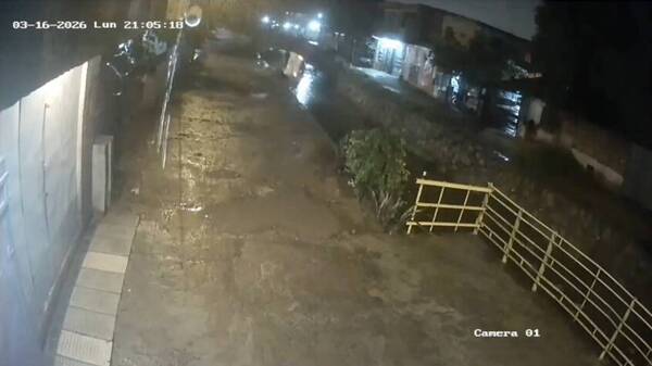 Conductora okañy, miró el GPS e hizo clavado en zanja