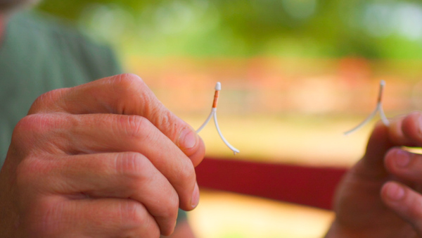 DIUB: la tecnología que busca eliminar preñeces no deseadas y recuperar hasta 60 kilos por animal