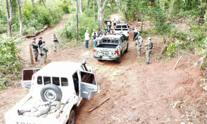 Investigan tala ilegal en comunidad indígena de Pedro Juan Caballero - OviedoPress
