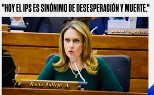 Vallejo apunta contra titular del IPS y denuncia “protección política” en Diputados - Canal-E