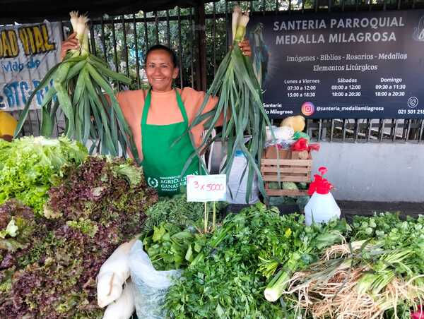 Carne vacuna se incorpora a ferias de la Agricultura Familiar con precios hasta 30% más bajos