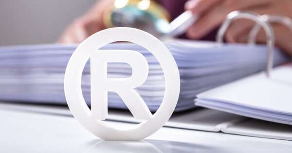 La Nación / Dinapi lanza plan piloto para agilizar marcas y dinamizar sectores productivos