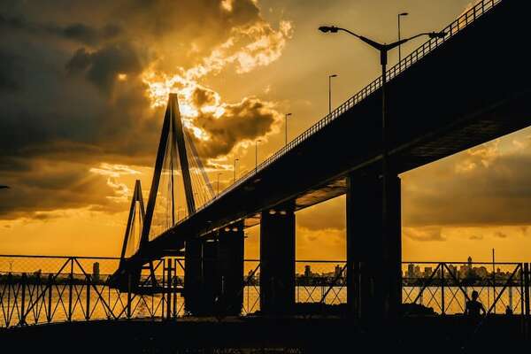 Encarnación: ¿Qué debo saber si viajo con mascotas hacia Argentina? - Nacionales - ABC Color