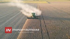 DESTACAN BUENA COSECHA DE SOJA, PERO ADVIERTE DIFICULTADES EN LA COMERCIALIZACIÓN