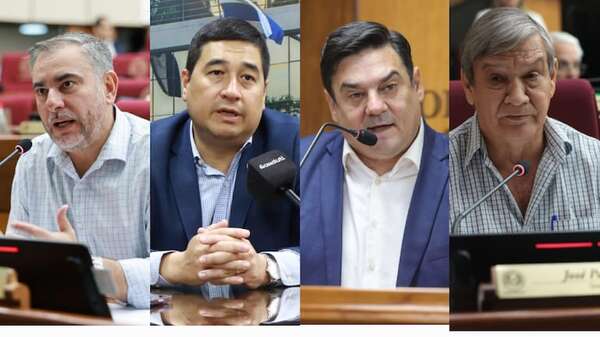 Estos fueron los “ausentes” durante el salvataje a Chaqueñito - Política - ABC Color