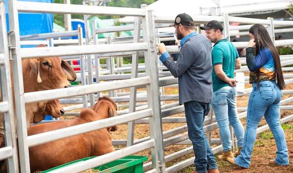 Histórico remate de invernada - Innovar 2026 - ABC Color