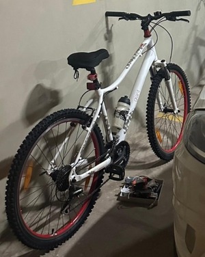 Cae solitario delincuente tras hurtar una bicicleta de alta gama en Encarnación