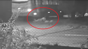 Pasajero cayó de un micro que iba jugando carrera