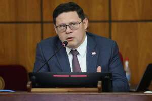 Gobierno plantea regular utilidades en reserva por presunta evasión de impuestos - Economía - ABC Color