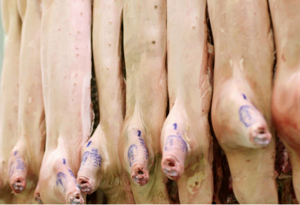 Producción porcina en Paraguay crece con fuerza y apunta a nuevos mercados internacionales