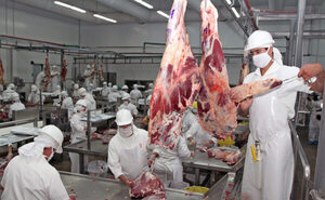 Precios del ganado: la industria afirma que el mercado local responde a los valores globales