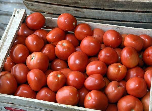 Precio del tomate se vuelve a disparar y comerciantes se quejan de la escasez - Nacionales - ABC Color