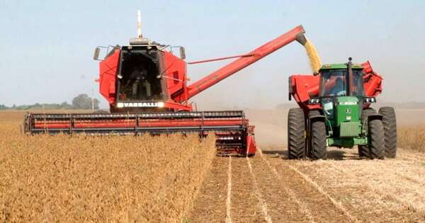 La Nación / Perspectiva de una cosecha récord de soja podría elevar la proyección de crecimiento económico