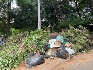 Hartos de vertederos: la drástica decisión de vecinos de un barrio de Asunción - Nacionales - ABC Color