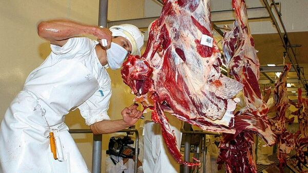 Paraguay y Bolivia acuerdan apertura de mercado para la carne bovina y porcina