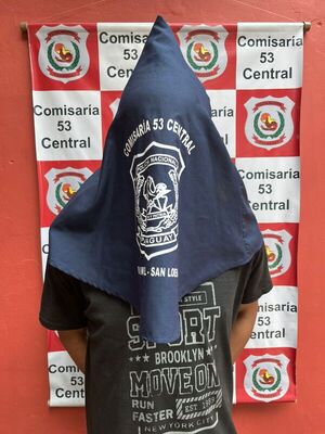 Popular / Hijo violento apresado tras atacar a su propia madre