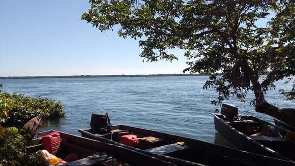 Proliferación de algas obliga a declarar de interés distrital la problemática en Ayolas - Nacionales - ABC Color