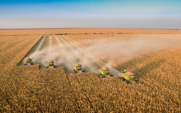Fertilizantes en crisis ponen en jaque la producción agrícola de Brasil - 5Días