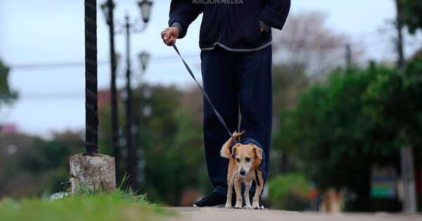La Nación / Anuncian ingreso de frente frío para la próxima semana