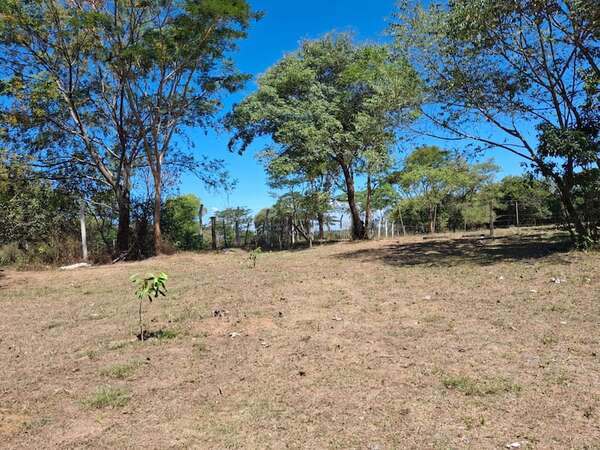 Yabebyry: la sequía afecta al sector ganadero  - Nacionales - ABC Color