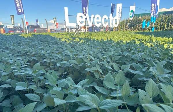 Levecto, la gran apuesta de BASF - Feria Agropecuaria Innovar 2026 - ABC Color
